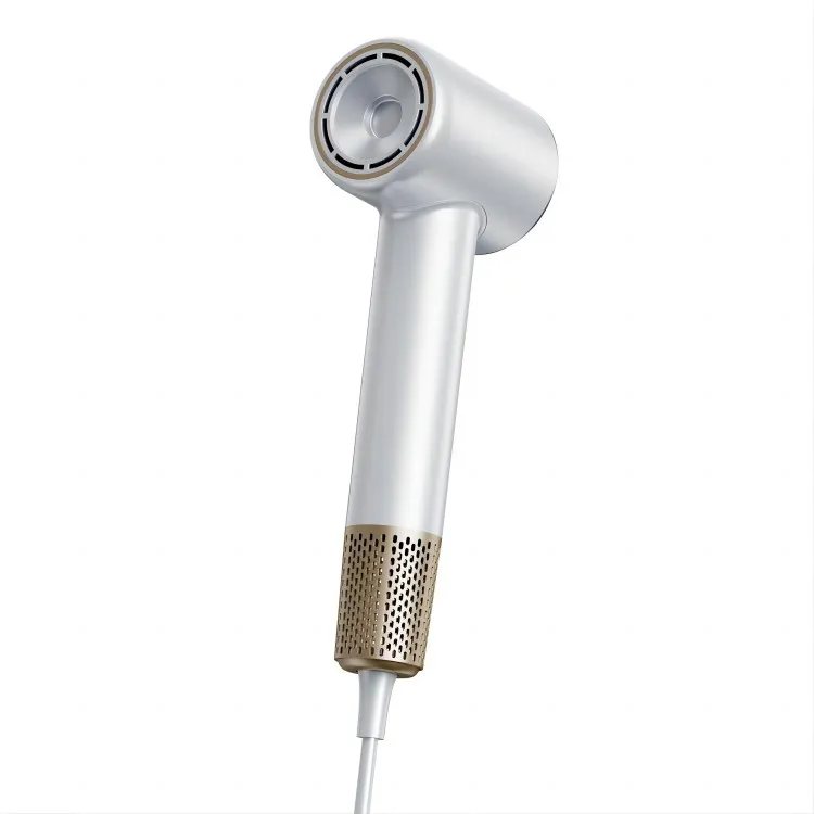 पेशेवर वैयक्तिकृत हेयर ड्रायर